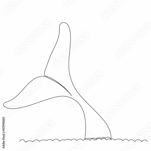 one line drawing whale tail sketch vector