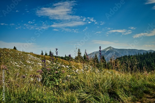 Wandern auf dem Raxplateau in Nieder  sterreich mit Blick zum Schneeberg - sommerliche Landschaft mit Berg  Fels  Gipfel  Wanderweg und blauem dramatisch bew  lktem Himmel