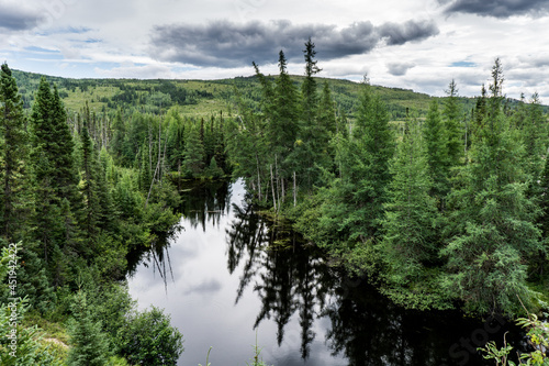 Pine trees reflection in a small pon dark waters near De la Tour hiking trail in Parc National des Grands Jardins, a national park in Charlevoix, a region of Quebec province (Canada) photo