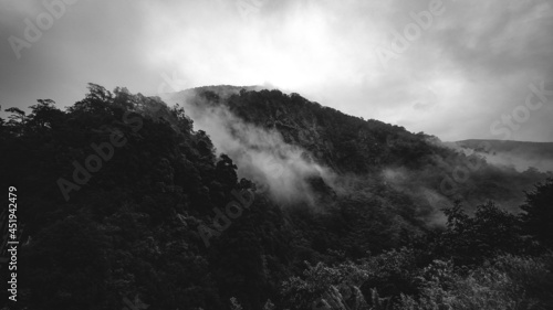 New Zealand Majestic Misty Landscape