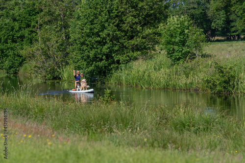 A sun-tanned woman in a t-shirt with bikini bottoms on a sup board. Together with two Australian Shepherd dogs on the paddleboard. Animal themes, sports and relaxation in nature
