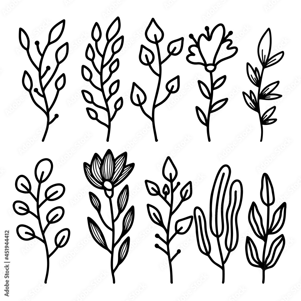 Set of hand drawn floral branches and flourishes. Floral text dividers. Design element for greeting card, t shirt, poster. Vector illustration