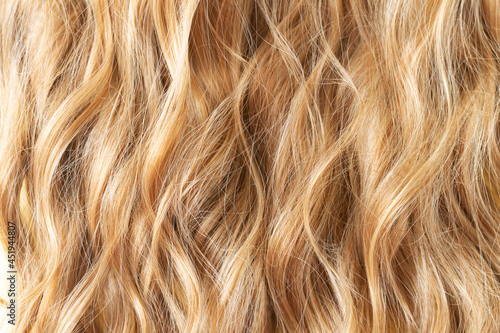 Cuadro en lienzo Texture blond wavy hair cut styling care or extension concept