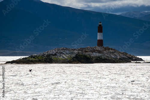 Bird Island in the Beagle Channel near the Ushuaia city. Ushuaia is the capital of Tierra del Fuego province in Argentina. Place full of birds and pinguin next to a lighthouse.