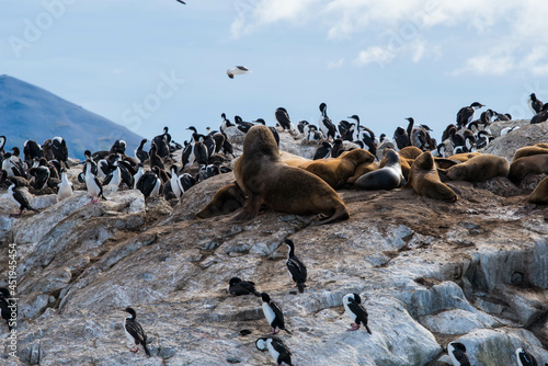 Bird Island in the Beagle Channel near the Ushuaia city. Ushuaia is the capital of Tierra del Fuego province in Argentina. © Martina