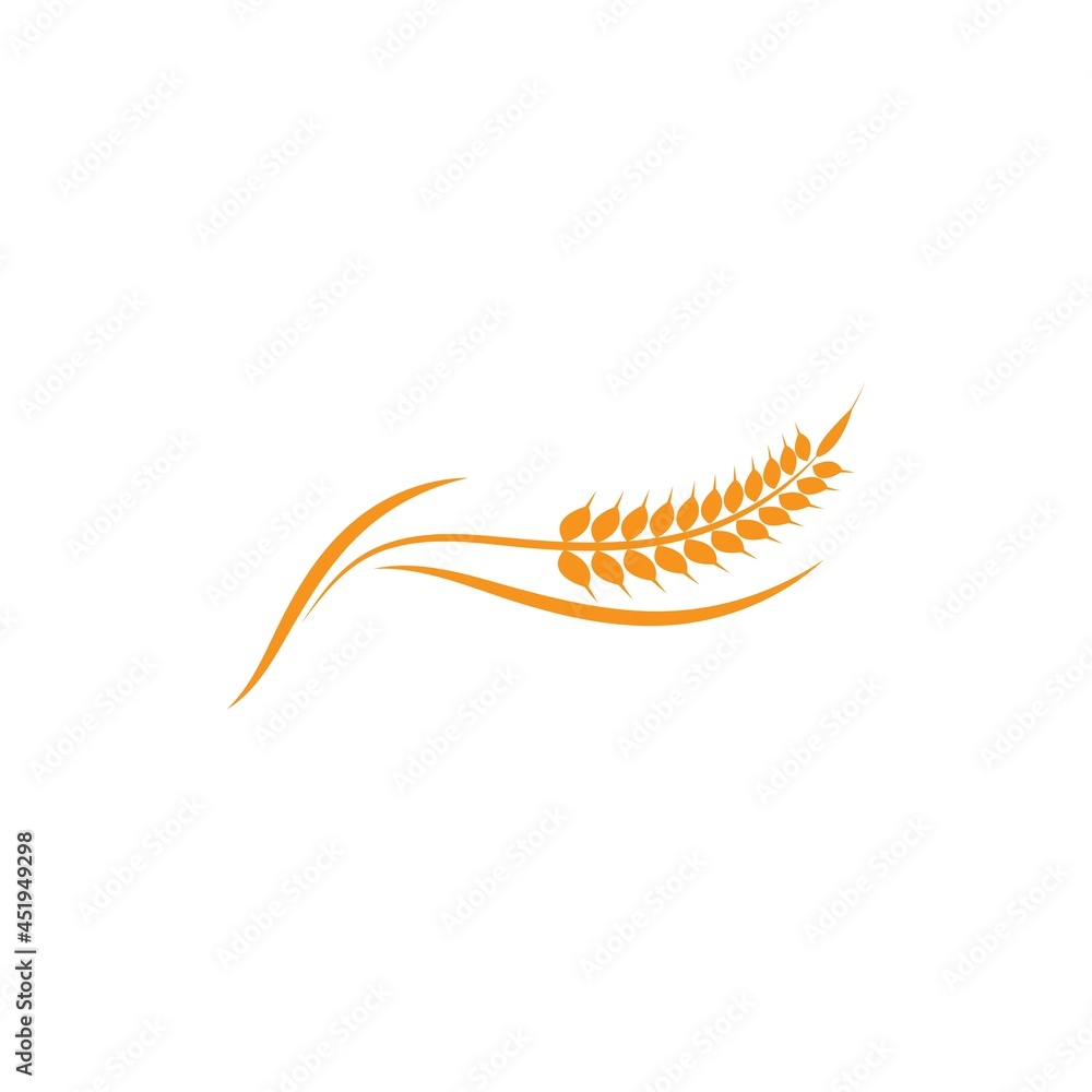 Obraz premium Wheat illustration design