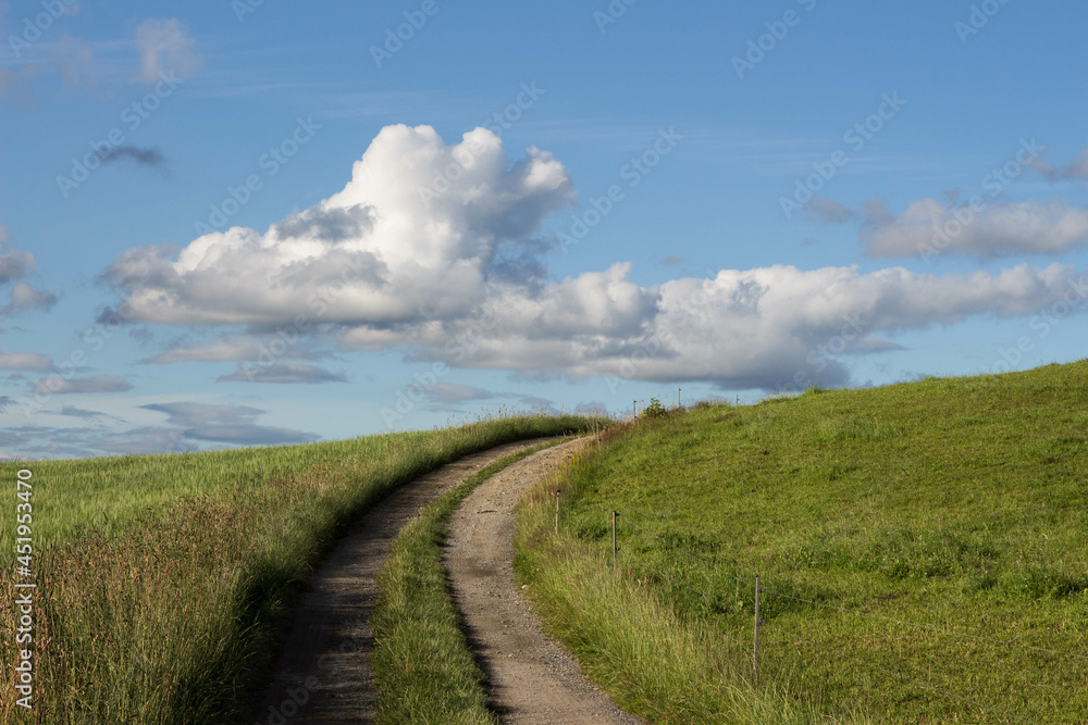 path through fields with white clouds at the horizont