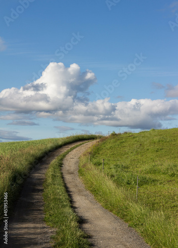 path through fields with white clouds at the horizont