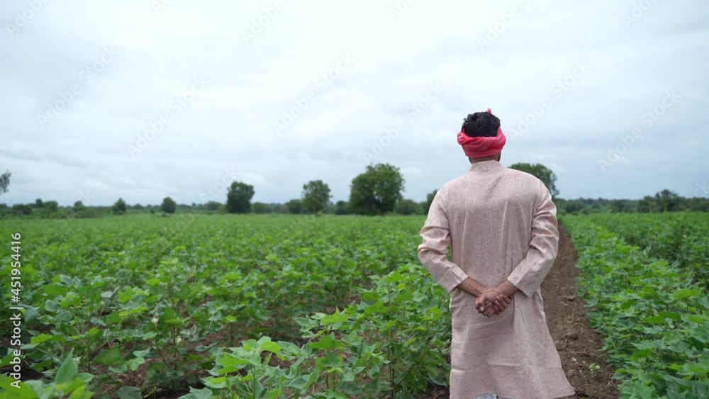 Young indian farmer standing at agriculture field. Young indian farmer standing at agriculture field.