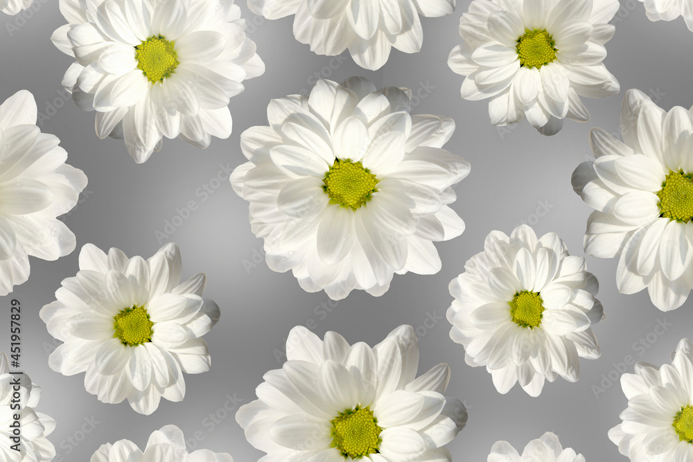 Seamless pattern with white flowers on a gray background. Seamless pattern with white flowers on a gray background.