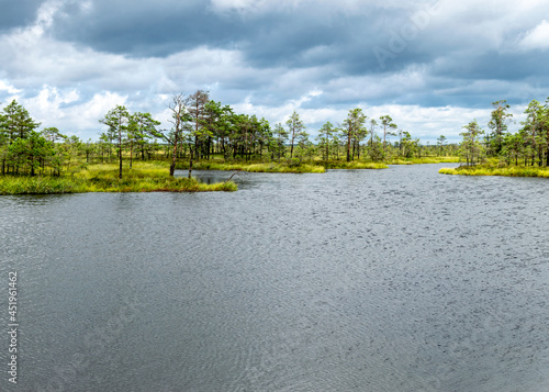 landscape from the bog, bog after rain, bog lake, dark storm clouds, traditional bog vegetation, heather, grass, bog pines, Tolkuse raba matkarada, Parnu county, Estonia