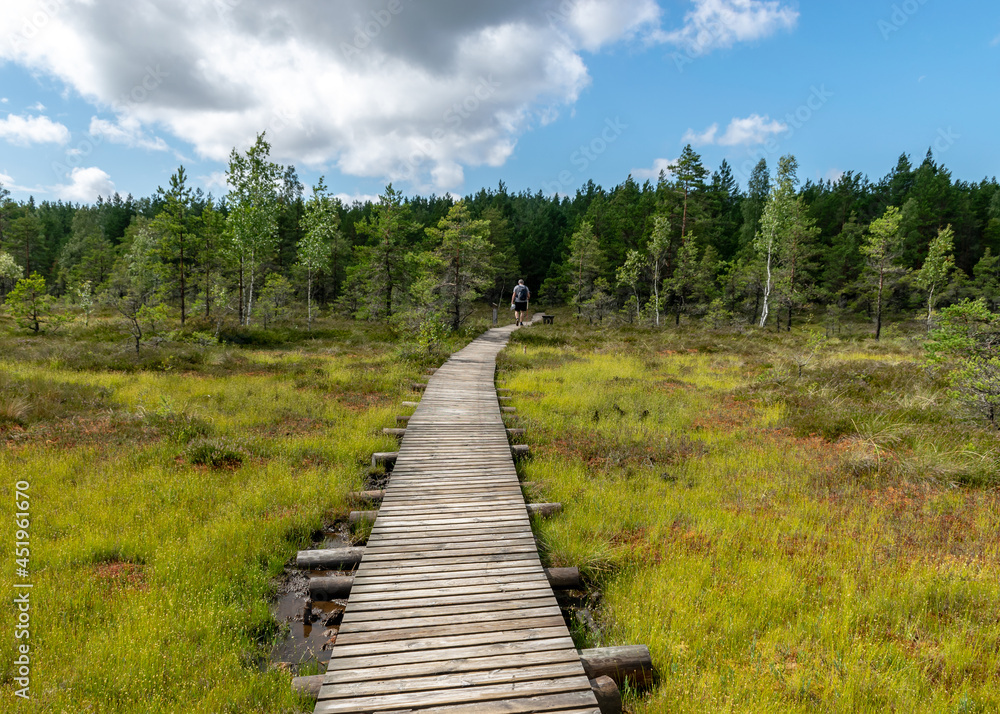 landscape from the bog, bog after rain, wet wooden footbridges in wet bog, dark storm clouds, traditional bog vegetation, heather, grass, bog pines, Tolkuse bog hiking trail, Parnu county, Estonia