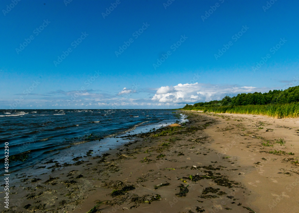 Obraz premium seaside landscape from Estonia, sea grasses and rocks in shallow sea water, Kabli bird center, Parnu Bay, Estonia