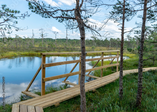 wooden footbridges for watching the bog and walks in the bog, traditional bog landscape with bog trees, grass and moss, heather blooms, autumn colors decorate the bog vegetation.