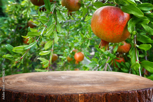 Fotografia, Obraz vintage wooden board table in front of pomegranate tree landscape