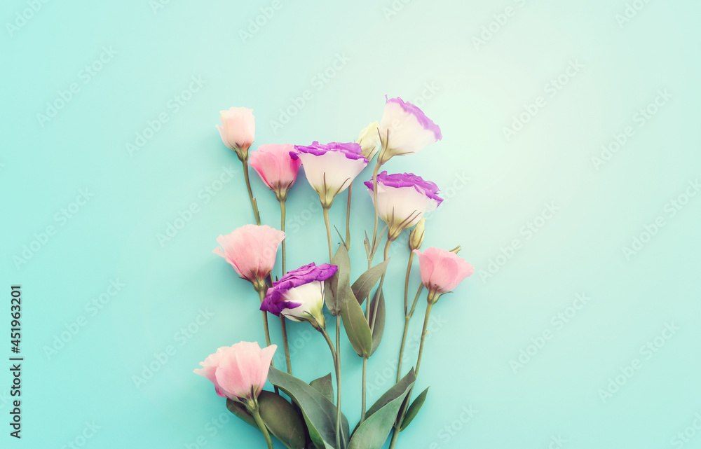 Top view image of pink and purple flowers composition over pastel blue background .Flat lay Top view image of pink and purple flowers composition over pastel blue background .Flat lay