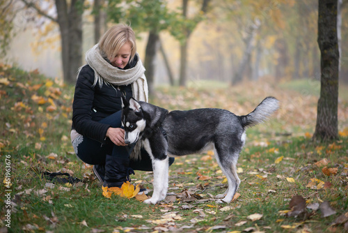Young woman with beautiful siberian husky dog playing in city park during autumn