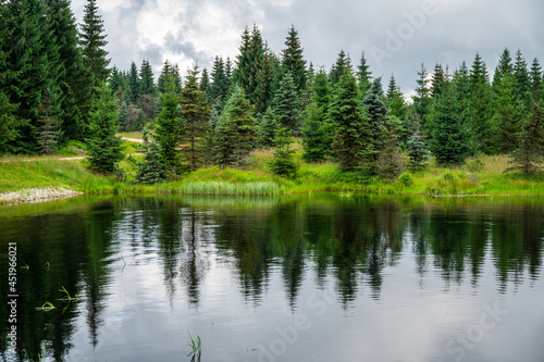 Mountain lake and green spruce wood in clousy summer day, Cerna Smeda, Czech republic.