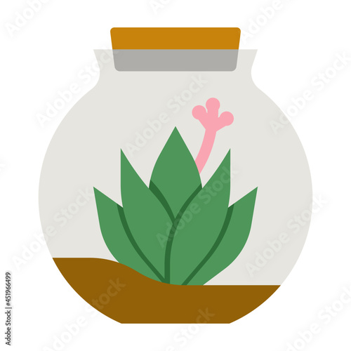 terrarium