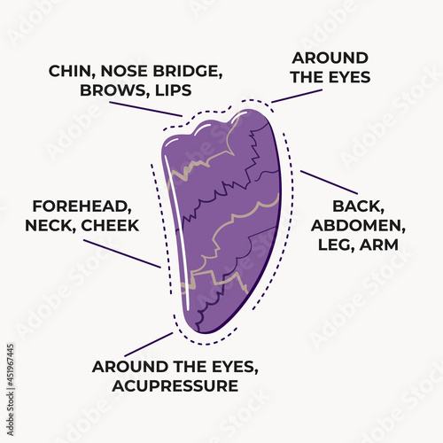 Infographic of how to use gua sha scraping massage stone wing shaped is made of purple amethyst. Home beauty skin care routine and Chinese skin care concept. Hand drawn vector illustration.