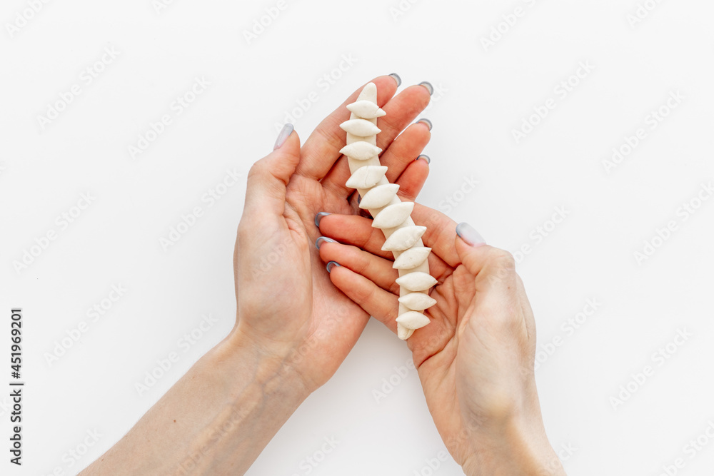 Human spinal column in hands. Spinal health and diseases concept Human spinal column in hands. Spinal health and diseases concept