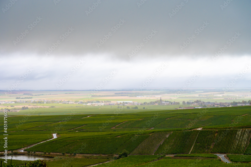 Landscape with green grand cru vineyards near Epernay, region Champagne, France in rainy day. Cultivation of white chardonnay wine grape on chalky soils of Cote des Blancs. Landscape with green grand cru vineyards near Epernay, region Champagne, France in rainy day. Cultivation of white chardonnay wine grape on chalky soils of Cote des Blancs.
