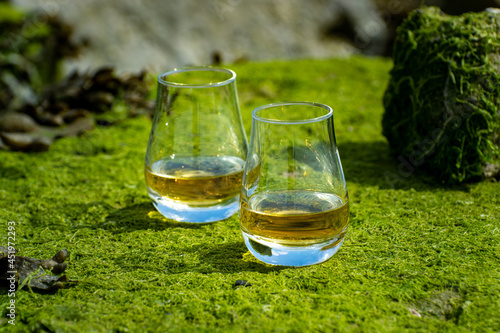 Tasting of single malt or blended Scotch whisky and seabed at low tide with green algae and stones on background, private whisky tours in Scotland, UK