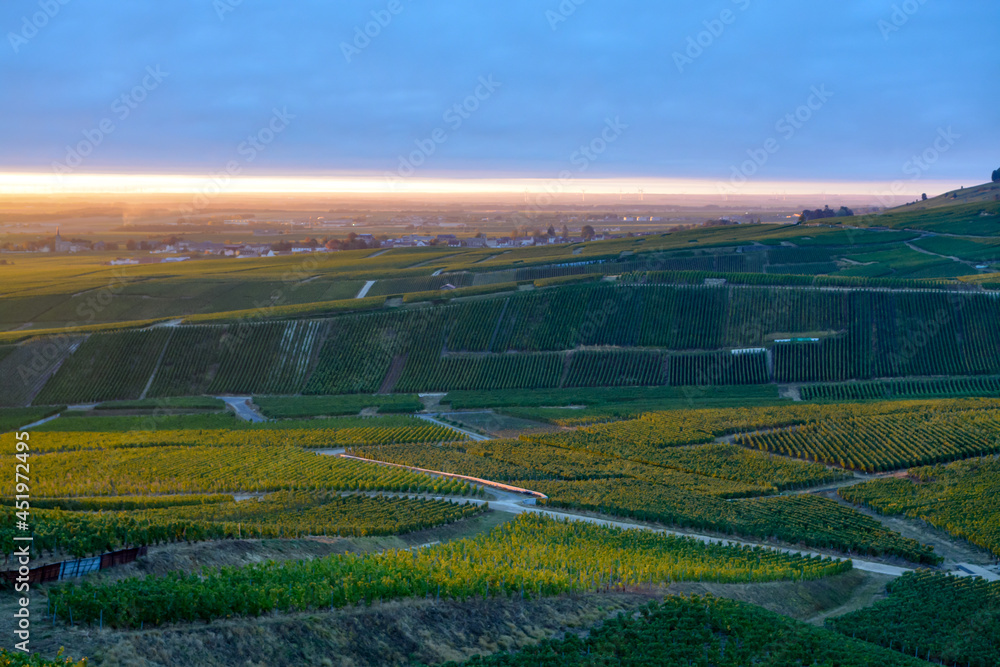 Amazing sunrise on rainy day over green grand cru vineyards near Epernay, region Champagne, France. Cultivation of white chardonnay wine grape on chalky soils of Cote des Blancs.