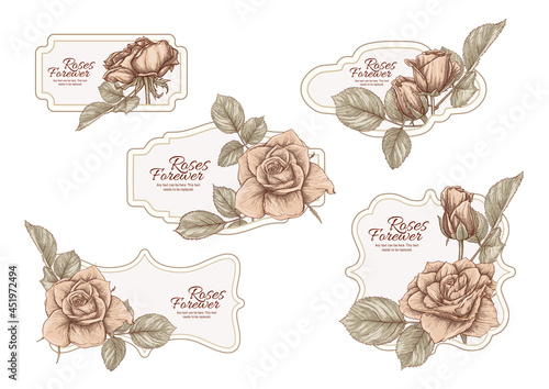 Set of labels, stickers for food products or cosmetics in engraving, vintage, old, retro shabby chic style.. Stock vector illustration.
