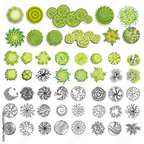 Trees and bush item top view for landscape design, vector icon.