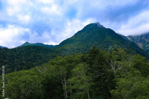 北海道の夏 大雪山 黒岳山頂への道