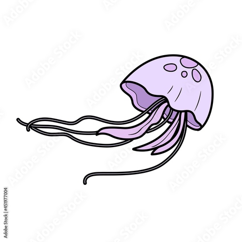 Long tail jellyfish object  color variation for coloring page isolated on white background