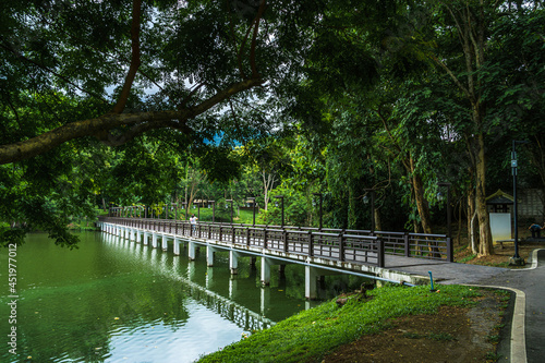 Bridge Road pathway in the park for relaxing walking jogging landscape lake views at Ang Kaew Chiang Mai University in nature forest Mountain views spring blue sky background with white cloud.