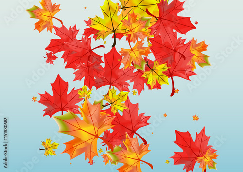 Colorful Leaves Background Blue Vector. Floral Flying Template. Ocher Shape Foliage. Season Leaf Design.