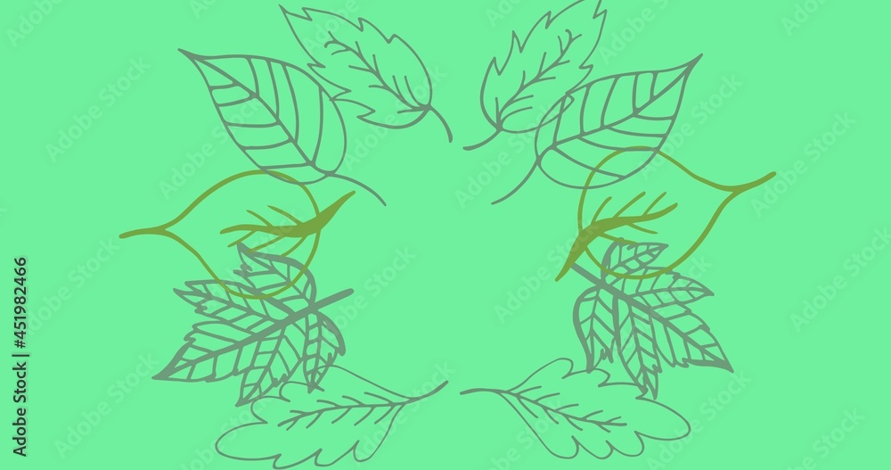Composition of green leaf frame forming on green background