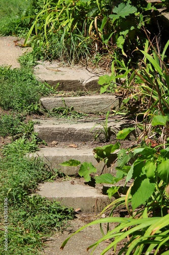 Vintage stone stairs leading up a small hill.