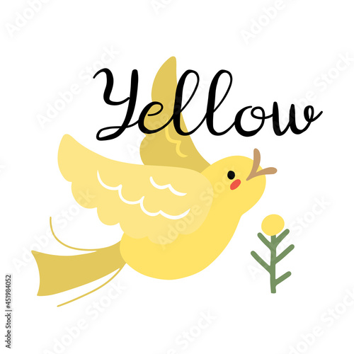 Cute canary bird doodle drawing with lettering Yellow, children educational book page
