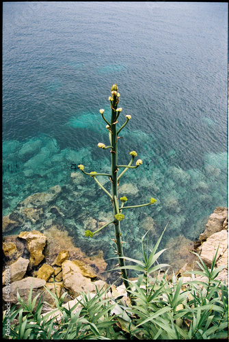 nature over sea