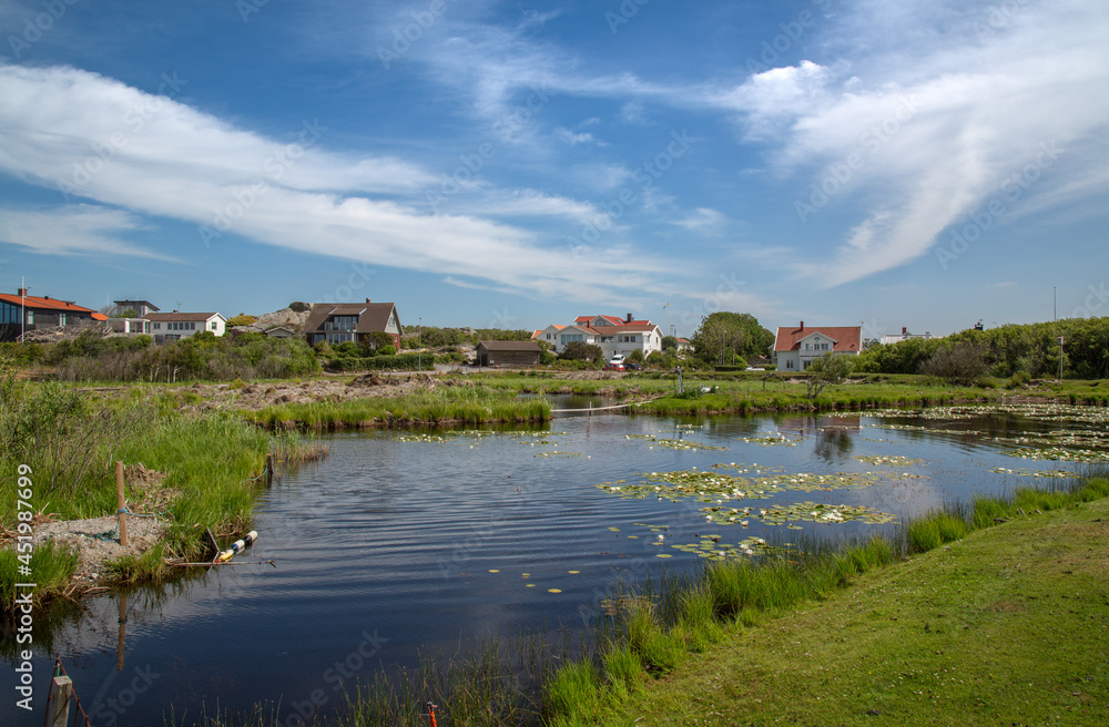 Houses on the wetland. Wetland reconstruction. Rural landscape 