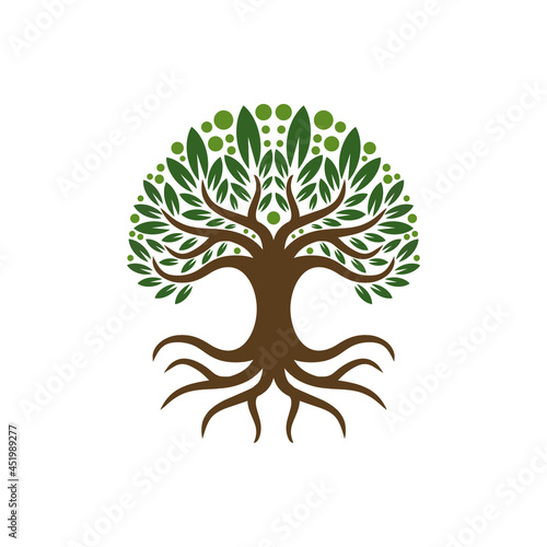 tree roots leaves illustration design