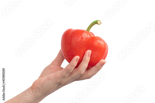 Red sweet pepper in hand isolated on a white background. Woman holding bulgarian pepper