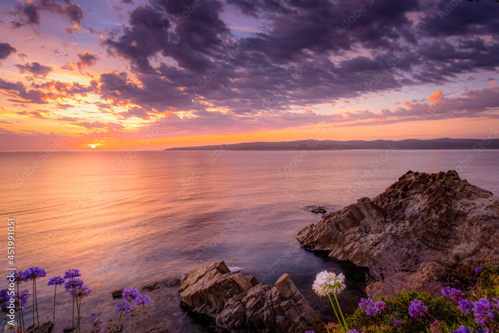 Eden Coastline and Flowers against Sunrise Sky Eden Coastline and Flowers against Sunrise Sky