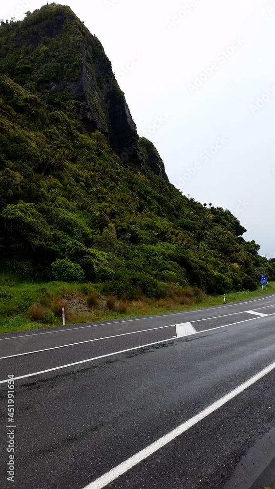 Tropical New Zealand wilderness