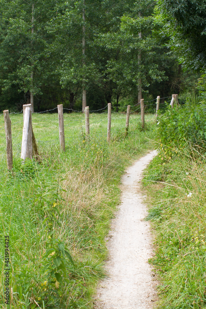 peaceful dirt pathway to hike through the meadows for nature