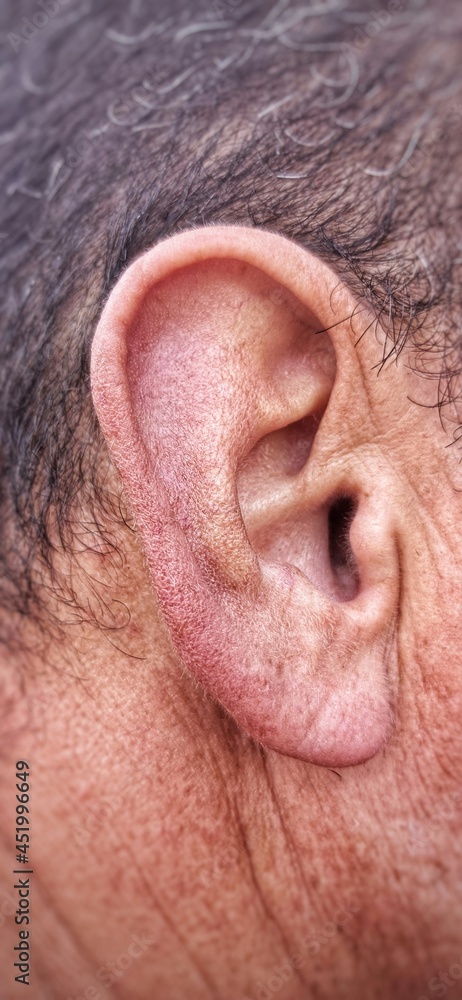 close up of ear close up of ear