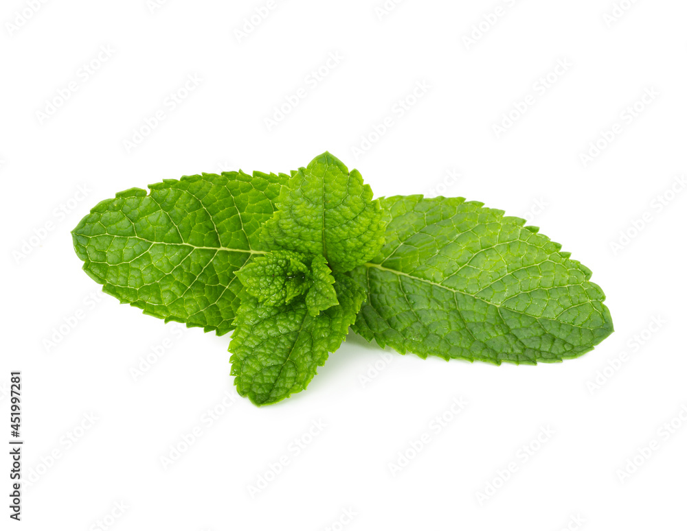 Fresh peppermint leaves isolated on white Fresh peppermint leaves isolated on white