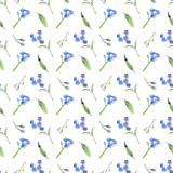 Watercolor seamless floral pattern with blue wildflowers and leaves on white background. Botanical background with forget-me-nots and herbs for textile, prints, wallpapers and wedding decoration.