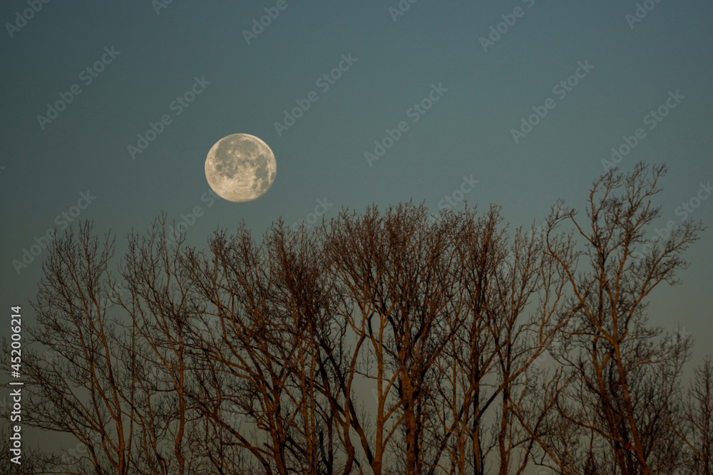 Full moon around the house Full moon around the house