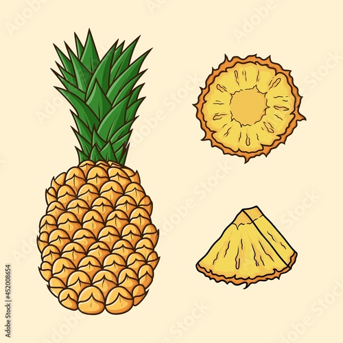 Set Different angles of Pineapple fruit Cartoon Vector isolated