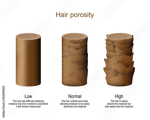 hair porosity